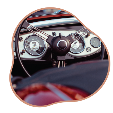 Royal HolidaysSignature Adventures